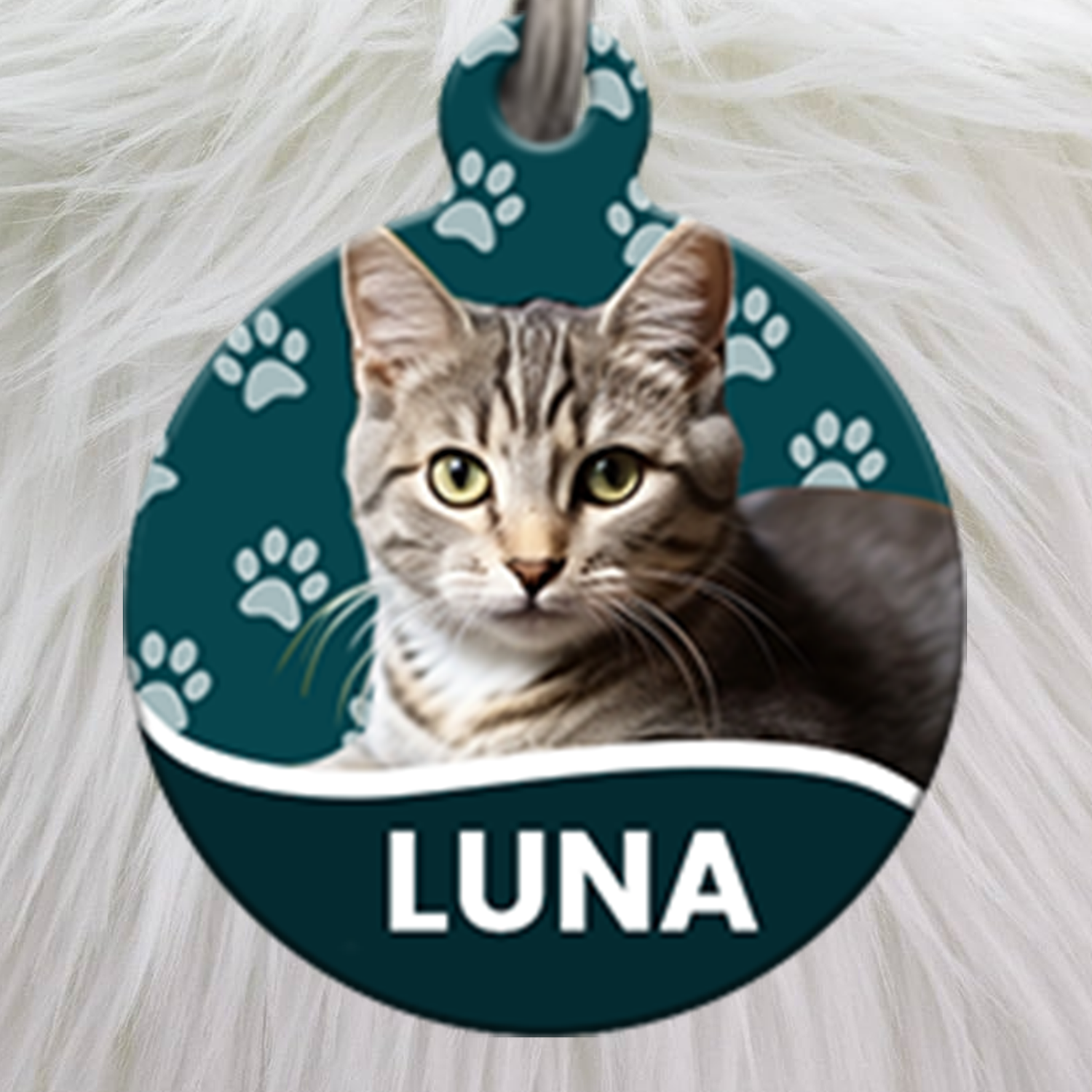 Pet Tag