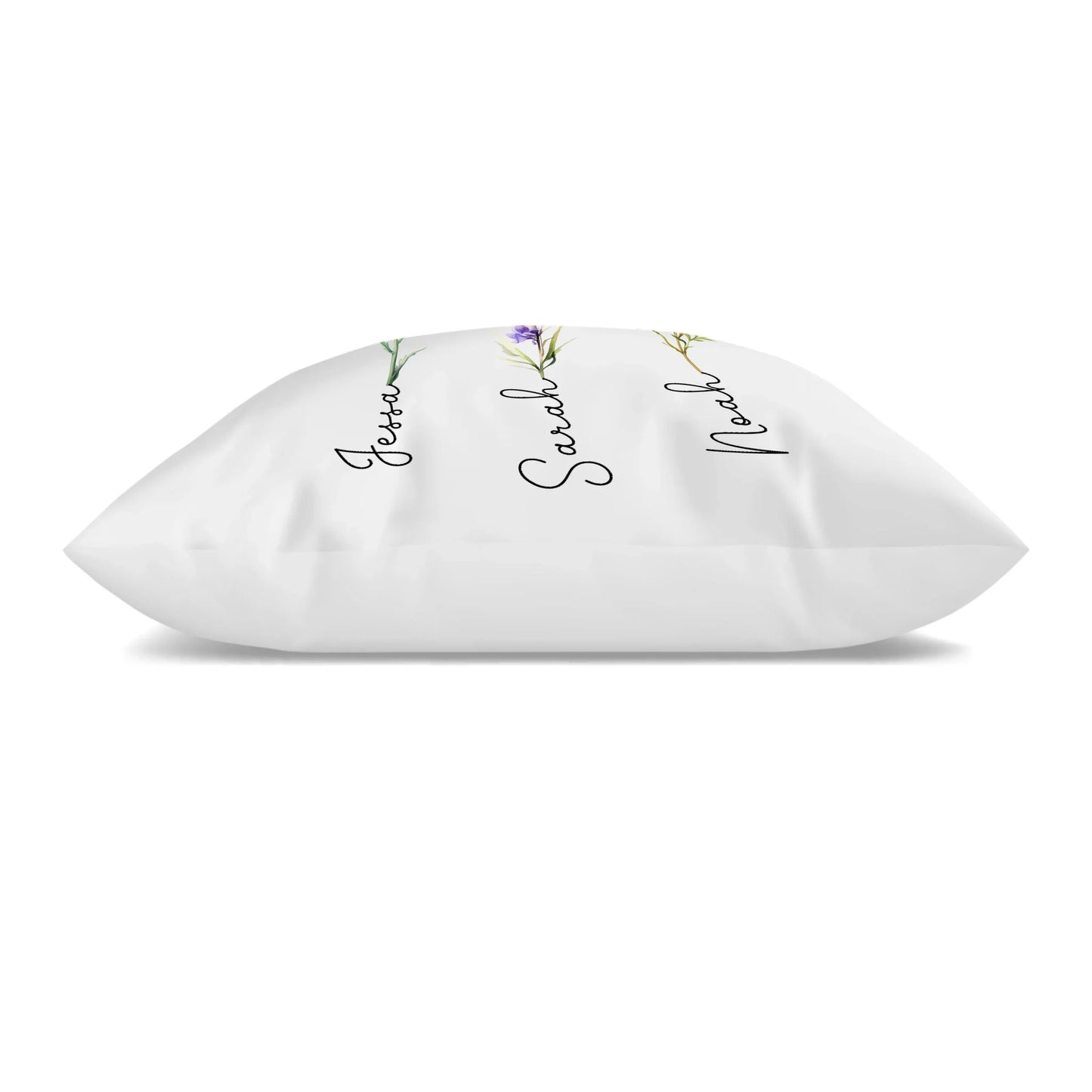 pillow3